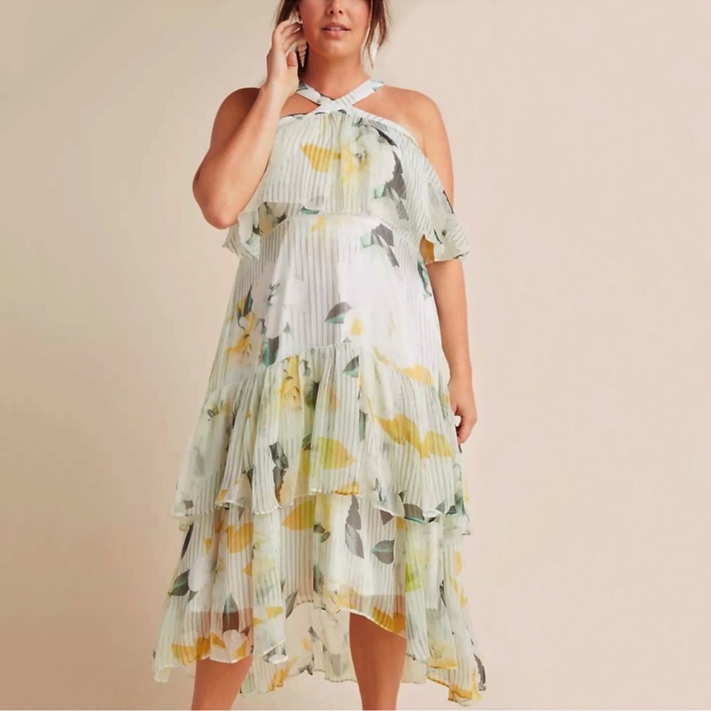 Anthropologie Garden Party Floral Dress sz18W